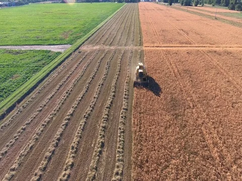 The Tractor Plows A Field. Aerial Video stock 71687306
