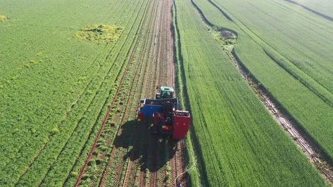 Tractor plows a field and a farmer arranges the irrigation pipes Stock Footage 169387474