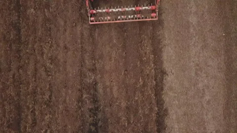 Tractor plows a field Video stock 125865646