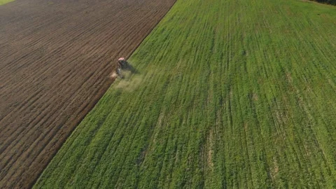 Tractor plows the field Stock-Footage 149384025