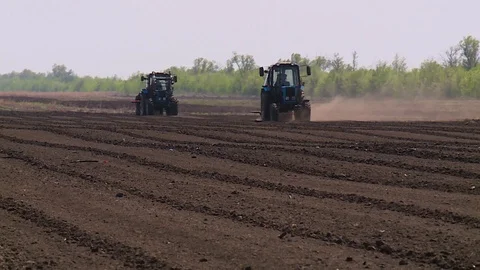 Tractor plows a field for seedlings Vídeos de archivo 123045700