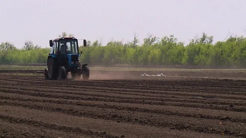 Tractor plows a field for seedlings Stock Footage 123045706