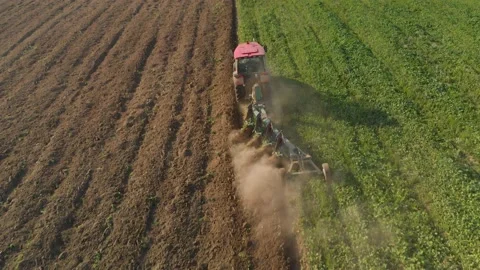 Tractor plows field with siderats Stock Footage 149901286