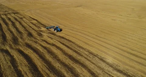 The tractor plows the field for sowing wheat. A beautiful new tractor. Stock Footage 139622810