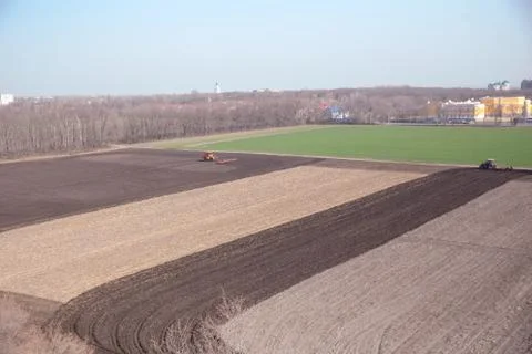 Tractor plows a field in the spring accompanied by rooks Stock Photos