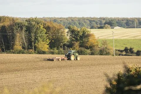 Tractor plows a field in the spring accompanied by rooks Stock Photos