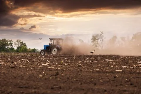Tractor plows a field in the spring against a beautiful sunset sky Stock Photos
