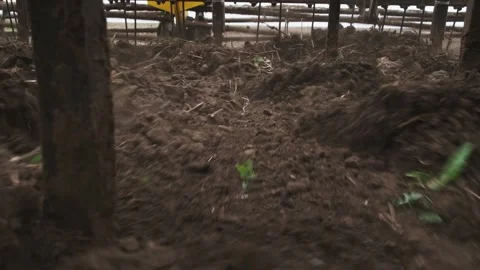 A tractor plows a field in the spring. Stock Footage 274163522