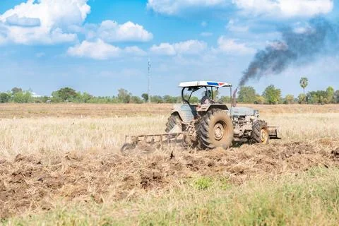 Tractor plows a field in the spring. Foto stock
