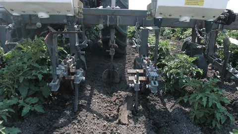 Tractor plows the ground on a large green field. A tractor spraying wheat field. Stock Footage 321004866