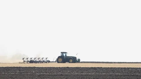 Tractor plows the land in the field Video stock 111331537