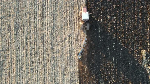 Tractor plows the land with a plow. drone view Stock-Footage 163090253