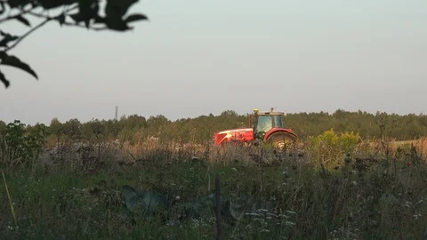 Tractor plows the seeder with dry black soil, sows wheat on a large agricultural Stock Footage 122005982