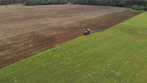 Tractor plows the soil, birds fly around. Aerial view 動画素材 119194353