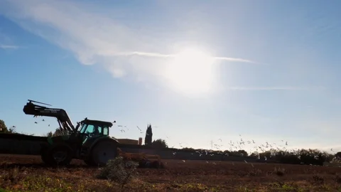 The tractor plows the soil. A flock of white herons and seagulls flies around Stock Footage 123121700