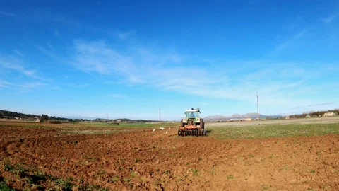 The tractor plows the soil. A flock of white herons and seagulls flies around Stock Footage 123122872
