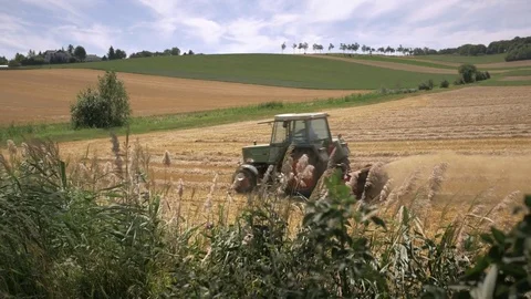 Tractor plows wheat field after the harvest. Video stock 79955532