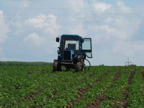 Tractor in a potato field Stock Photos