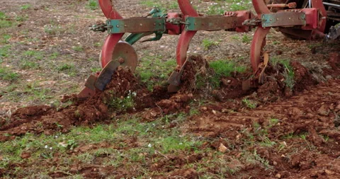 Tractor prepares soil for planting in open field during sunny day Stock Footage 321355969