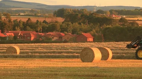 Tractor preparing hay bales on a wagon Stock Footage 41755912