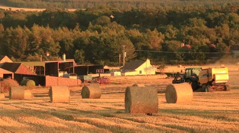 Tractor preparing hay bales on a wagon Stock Footage 41756489