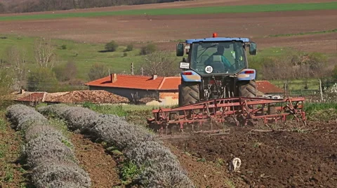 Tractor preparing land in lavender field, rural countryside landscape. Stock Footage 63238237