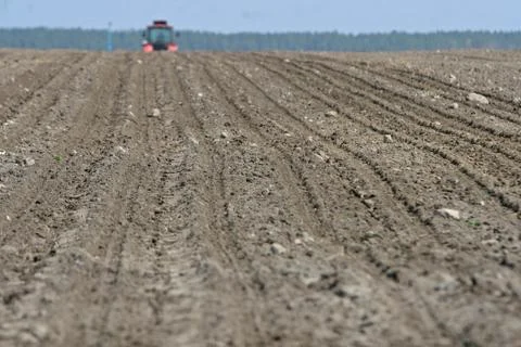 Tractor preparing land for sowing.  Stock Photos