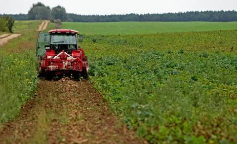 Tractor preparing land for sowing. Stock Photos