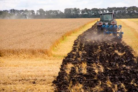 Tractor preparing land for sowing Foto stock