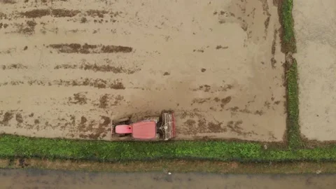 Tractor preparing soil in flooded paddy field for rice plant Stock Footage 165679370