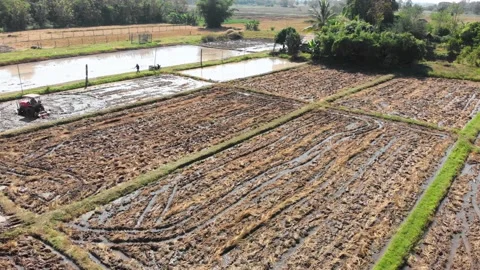 Tractor preparing soil in flooded paddy field Stock Footage 165679774