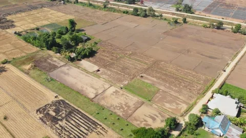 Tractor preparing soil in flooded paddy field Stock Footage 196663122