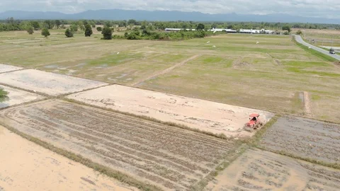 Tractor preparing soil for rice plant with white great egret bird Video stock 92474167