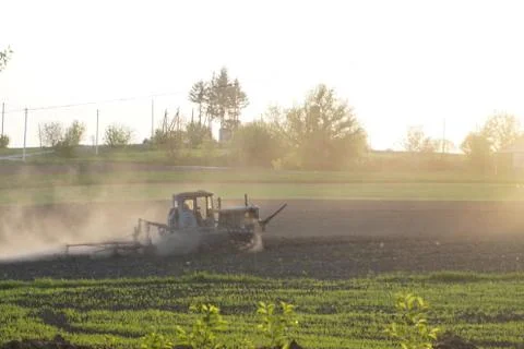 The tractor processes the field Stock Photos