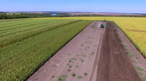 The tractor processes the ground. Bird's-eye view Stock Footage 67587974