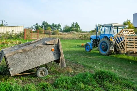 Tractor pulling crates filled with pumpkins and gourds for transport Stock Photos