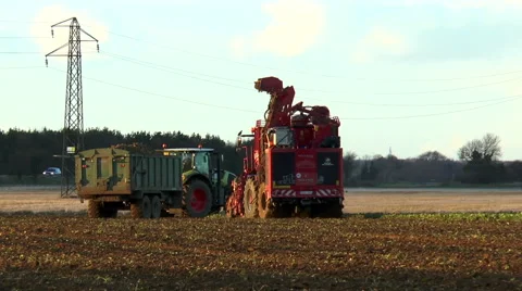 Tractor pulling full trailer of sugar beet. Stock Footage 47588138