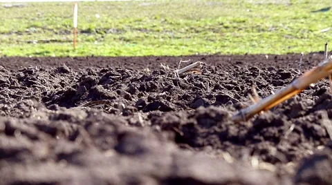 Tractor pulling land cultivating machine Stock Footage 49536672