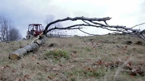 Tractor pulling a large trunk in the thick forest Stock Footage 62715845