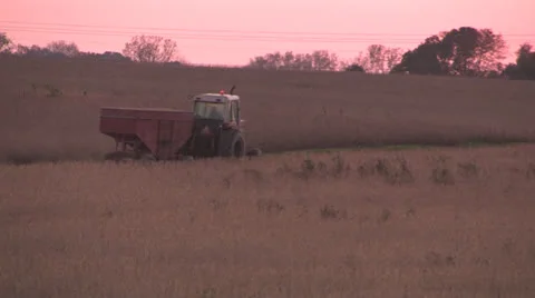 Tractor pulling soybean bin Video stock 25005545