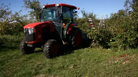Tractor Pulling Workers at an Apple Orchard During Harvest Time Stock Footage 230209499