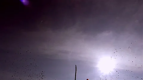 Tractor pulls a machine that cuts the channels in the field Stock Footage 48359884