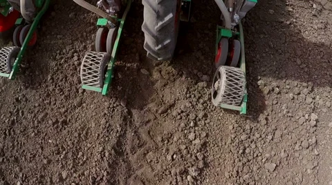 Tractor pulls machine for sowing peppers. Stock Footage 68148843
