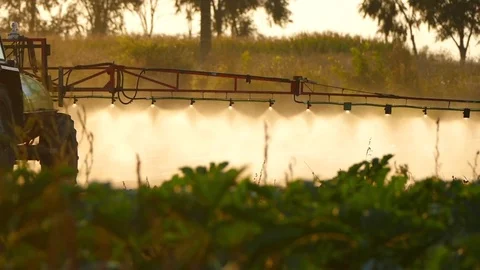 The tractor pulls a machine for spraying cucumbers. Summer sunset. Stock Footage 72197473