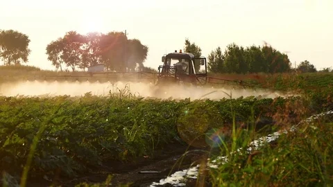 The tractor pulls a machine for spraying cucumbers. Summer sunset. Stock Footage 72197581