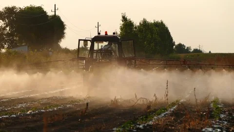 The tractor pulls a machine for spraying cucumbers. Summer sunset. Stock Footage 72197778