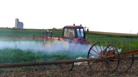The tractor pulls machine for a spraying in a field of peppers. Stock Footage 72218182