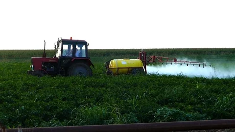 The tractor pulls machine for a spraying in a field of peppers. Stock Footage 72219182