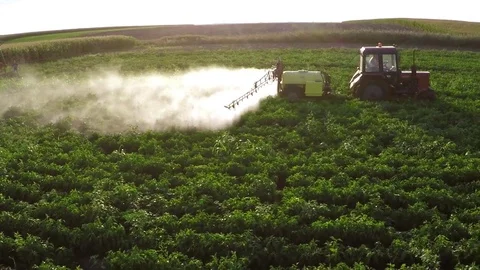 The tractor pulls machine for a spraying in a field of peppers. Aerial footage. Stock Footage 83620332