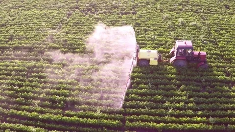The tractor pulls machine for a spraying in a field of peppers. Aerial footage. Stock Footage 83620423